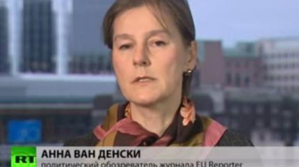 Анна Ван Денски: События в Донецке связаны с резолюцией Европарламента по Украине