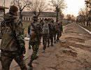 Учения украинской 25 ОВДБр Учения украинской 25 ОВДБр