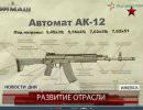 Д.Рогозин: В Туле может быть развернут универсальный стрелковый завод