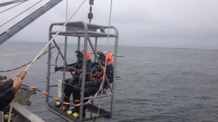 Современный океанский спасатель: возрождая глубоководное водолазное дело Современный океанский спасатель: возрождая глубоководное водолазное дело