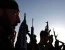 К сирийской войне присоединятся 200 исламистов из Германии К сирийской войне присоединятся 200 исламистов из Германии