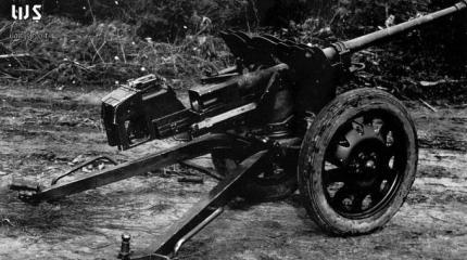Тяжелое противотанковое ружье s.Pz.B.41. Германия Тяжелое противотанковое ружье s.Pz.B.41. Германия