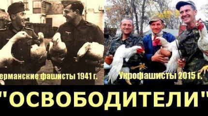 Мародеры из ВСУ едва не застрелили хозяина украденного ими бычка Мародеры из ВСУ едва не застрелили хозяина украденного ими бычка