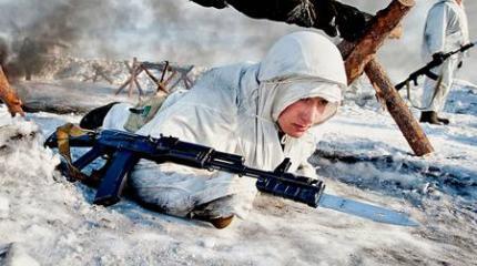 Шойгу зачистит Арктику от диверсантов Шойгу зачистит Арктику от диверсантов