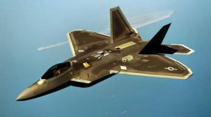 Ученые вырастили искусственный "мозг", способный управлять F-22 Ученые вырастили искусственный "мозг", способный управлять F-22