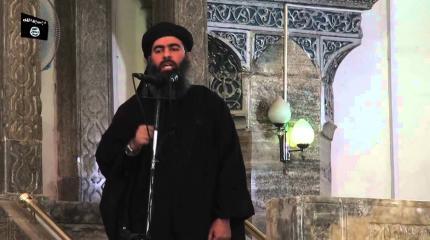 Крысы в панике грызут друг друга: в Ираке отравлен лидер ИГИЛ Крысы в панике грызут друг друга: в Ираке отравлен лидер ИГИЛ