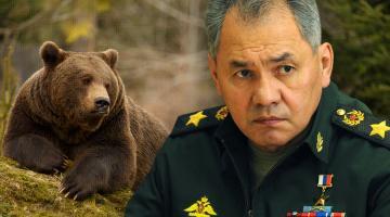 Шойгу о "русском медведе" в Ливии и "удочерении" США Прибалтики