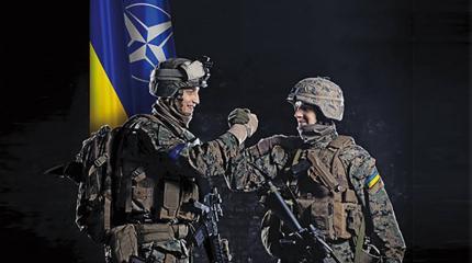 Украина проведёт совместную спецоперацию с НАТО Украина проведёт совместную спецоперацию с НАТО