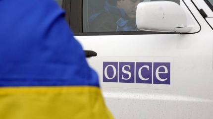 Вооруженная полицейская миссия на Донбассе Вооруженная полицейская миссия на Донбассе