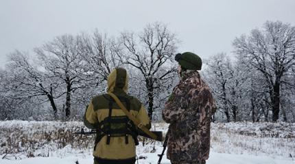 ЛНР: ВСУ подвозят боеприпасы к линии соприкосновения в Донбассе ЛНР: ВСУ подвозят боеприпасы к линии соприкосновения в Донбассе