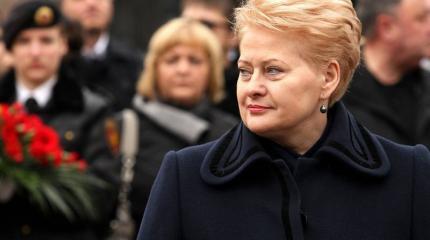 Грибаускайте: страны Балтии должны быть готовы защищать себя самостоятельно Грибаускайте: страны Балтии должны быть готовы защищать себя самостоятельно