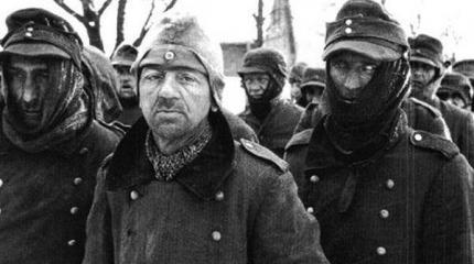 «Где теперь мои войска» — Сталинград глазами немцев «Где теперь мои войска» — Сталинград глазами немцев