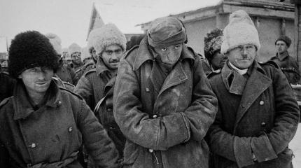 Кобыла Мадемуазель и румынский капитан Попеску в Сталинграде Кобыла Мадемуазель и румынский капитан Попеску в Сталинграде