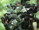 Парашютисты-рейнджеры (Fallskamsjagare) сил обороны Швеции Парашютисты-рейнджеры (Fallskamsjagare) сил обороны Швеции