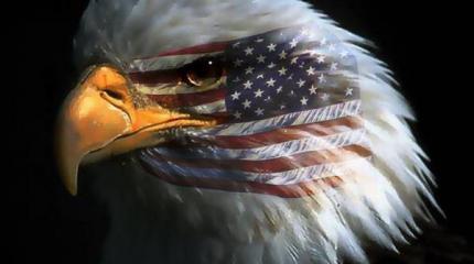 Что принёс XXI век? Часть 3 Что принёс XXI век? Часть 3