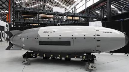 Захваченный Ираном подводный робот выдает новые принципы США