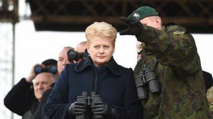 Новые радары в Литве усилят защиту границ страны и НАТО