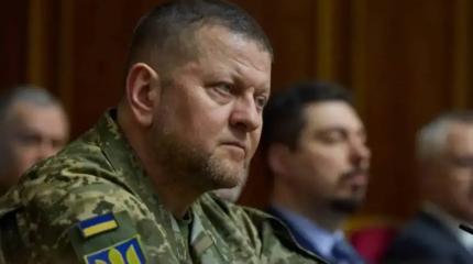 Война «З»: конфликт на Украине может быть передан следующему поколению