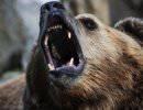 Русский медведь сердится неспроста