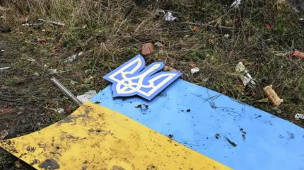 Новости СВО: Армия России за 2025 год освободила более 300 поселений