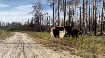Новости СВО: Армия России выбила врага из Серебрянского лесничества