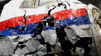 Малазийский Боинг MH-17 могла сбить только Украина Малазийский Боинг MH-17 могла сбить только Украина