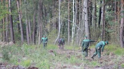 На границе с Украиной белорусские пограничники строят стену