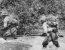 60 лет в джунглях после войны 60 лет в джунглях после войны
