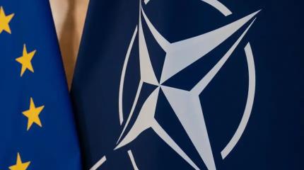 НАТО без США: Европа взвесила силы на случай потери американского щита