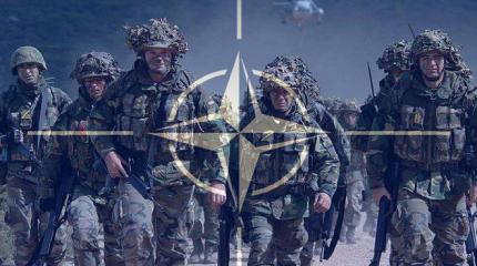 США приводят НАТО в боевую готовность США приводят НАТО в боевую готовность