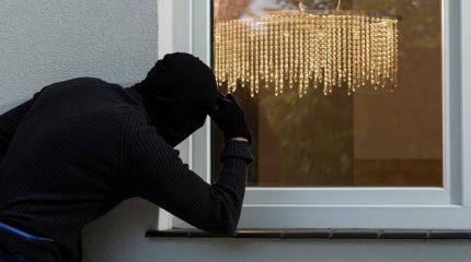 Несколько советов, которых вам не даст домушник Несколько советов, которых вам не даст домушник