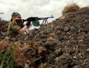 Ополченцы освободили Степановку Ополченцы освободили Степановку