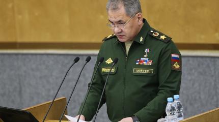 Шойгу: Минобороны построит макет Рейхстага для атак юнармейцев