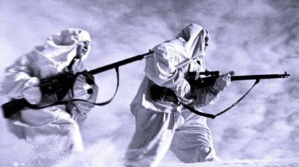 Рейд за языком группы Д.С. Покрамовича Рейд за языком группы Д.С. Покрамовича