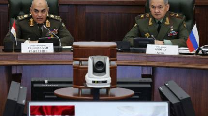 Турцию призовут к ответу: Шойгу обсуждает сбитый самолет Су-24 в Египте Турцию призовут к ответу: Шойгу обсуждает сбитый самолет Су-24 в Египте