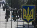 Украинские военные: «кошка бросила котят – …» Украинские военные: «кошка бросила котят – …»