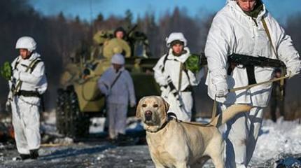 Саперы в Свердловской области обеспечили продвижение мотострелков среди мин и фугасов