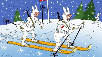 Финляндия и Польша совместно точат зубы на Россию