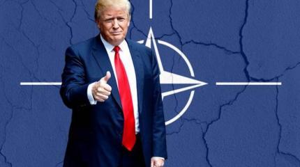 НАТО заслужило своего могильщика НАТО заслужило своего могильщика