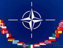 НАТО может начать строить военные базы вблизи России НАТО может начать строить военные базы вблизи России
