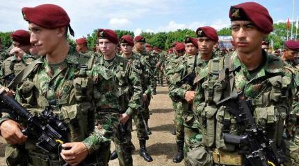 "Черные осы": военная элита Кубы "Черные осы": военная элита Кубы