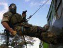Группа специальных операций GOE (Grupo de Operaciones Especiales) ВВС Аргентины Группа специальных операций GOE (Grupo de Operaciones Especiales) ВВС Аргентины