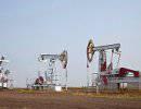 Нефть и внешняя политика Нефть и внешняя политика
