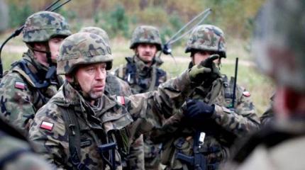 Зачем Польше войска территориальной обороны?