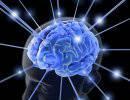 Проект BrainScaleS. Копия биологического мозга Проект BrainScaleS. Копия биологического мозга