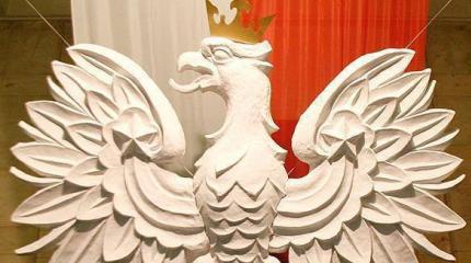 Варшава созывает антироссийских «партизан» Варшава созывает антироссийских «партизан»