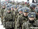 Украинский солдат обходится государству дешевле обезьяны в зоопарке Украинский солдат обходится государству дешевле обезьяны в зоопарке