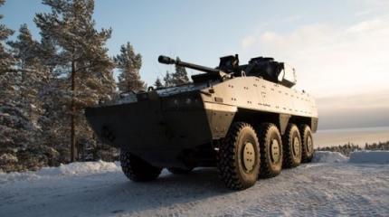 Экзоскелет жука вдохновили британцев на создание сверхпрочной подвески Экзоскелет жука вдохновили британцев на создание сверхпрочной подвески