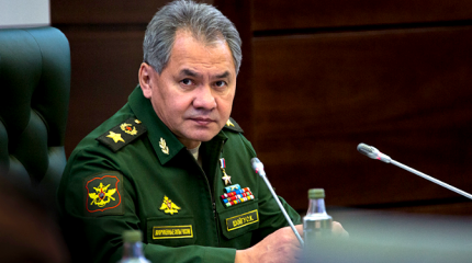 Шойгу готовит удар возмездия Шойгу готовит удар возмездия