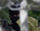 Бой между ополченцами и армией идет в районе донецкого города Снежное Бой между ополченцами и армией идет в районе донецкого города Снежное